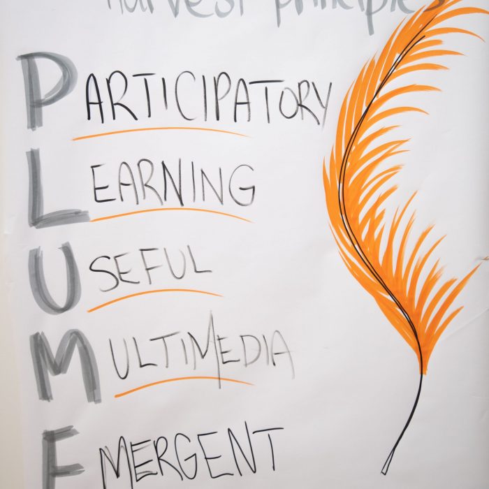 A hand written poster with Harvest Principles at the top and then lists Participatory, Learning, Useful, Multimedia, Emergent. The first letter of each word spells PLUME. There is a hand drawn picture of an orange feather next to the wording.